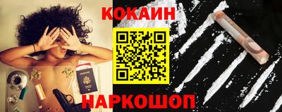 крисы Пенза