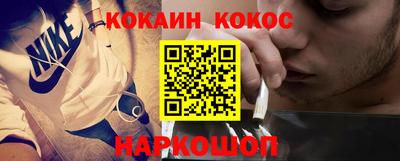 крисы Пенза