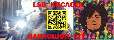крисы Пенза