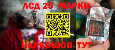 крисы Пенза