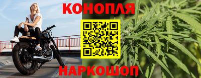 apvp Партизанск