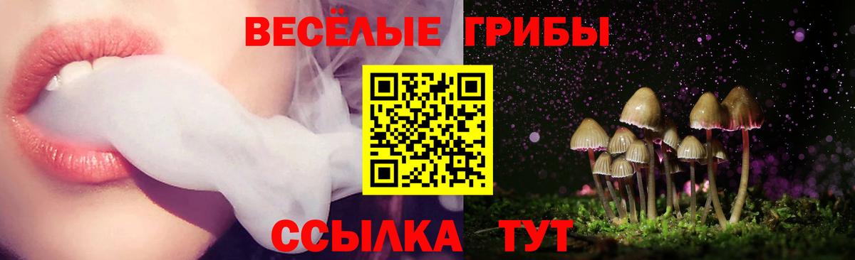 Тавда  Псилоцибиновые грибы GOLDEN TEACHER  даркнет сайт  Псилоцибиновые грибы ЛСД  Вход с VPN 